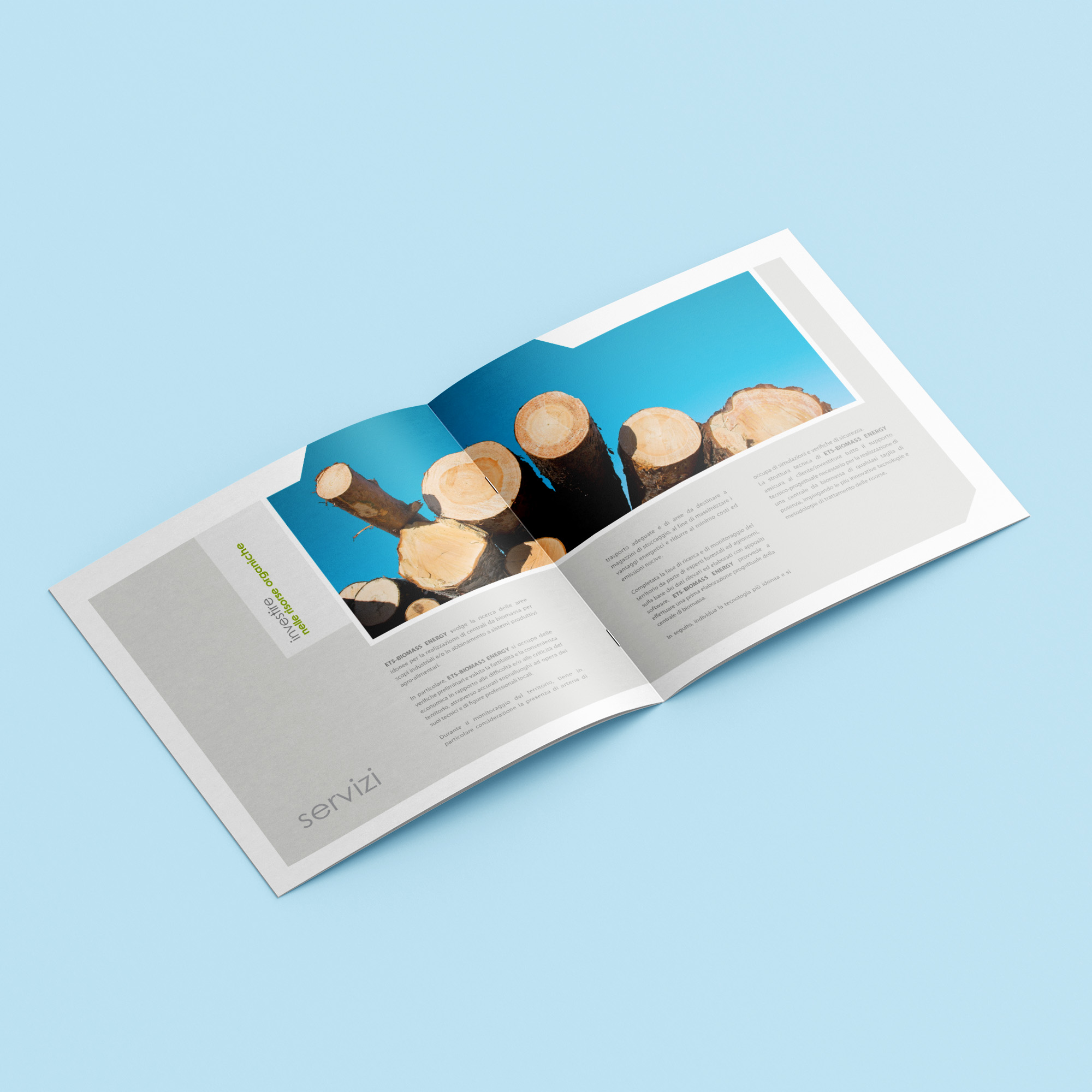 Free_Square_Brochure_Mockup_7
