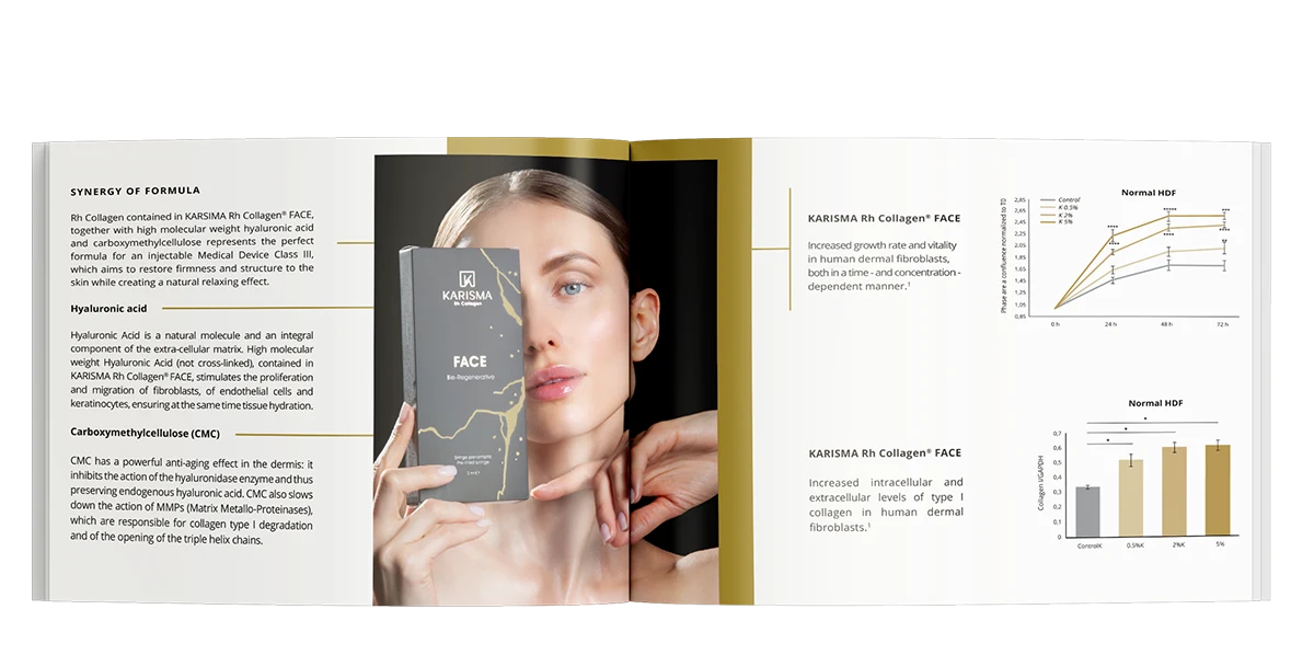 karisma-brochure